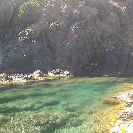 Colores Magomadas