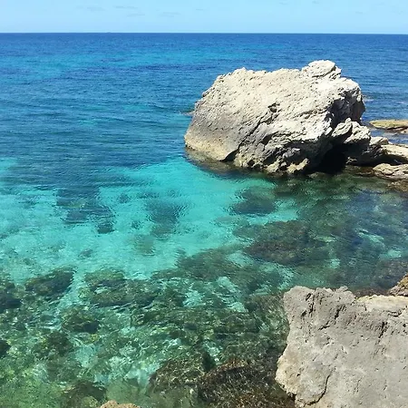 Colores Magomadas