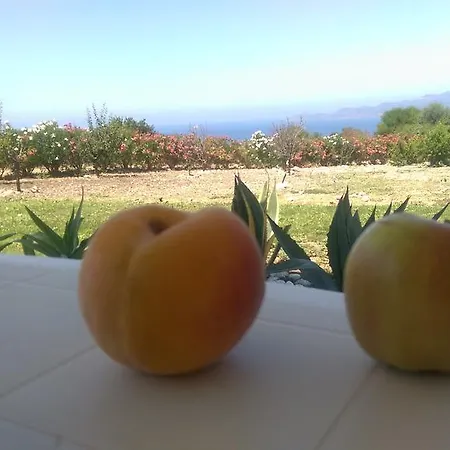 Colores Magomadas